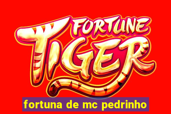 fortuna de mc pedrinho